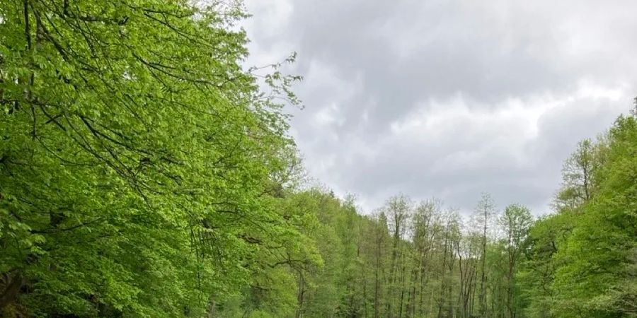 image - La balade de l'étang du Chawion 