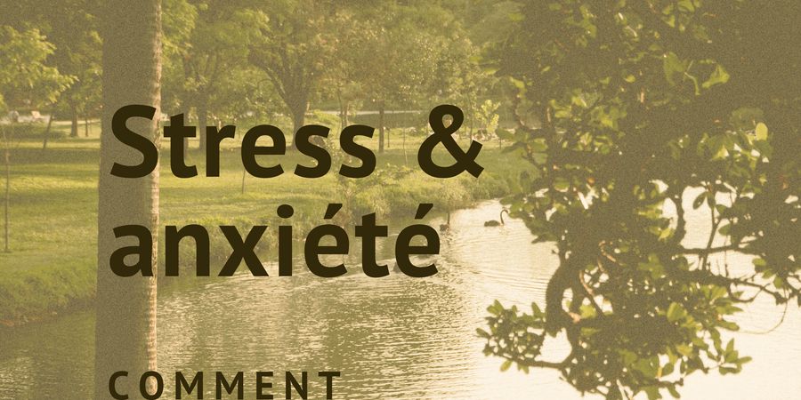 image - Atelier huiles essentielles et automassage énergétique