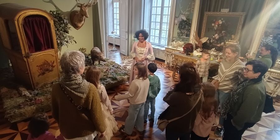 image - Le bal des illusions