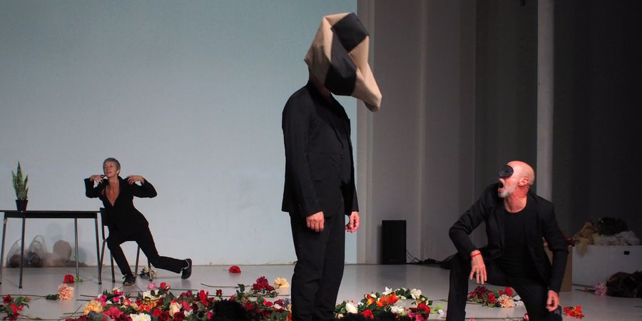 image - Danses en fête 