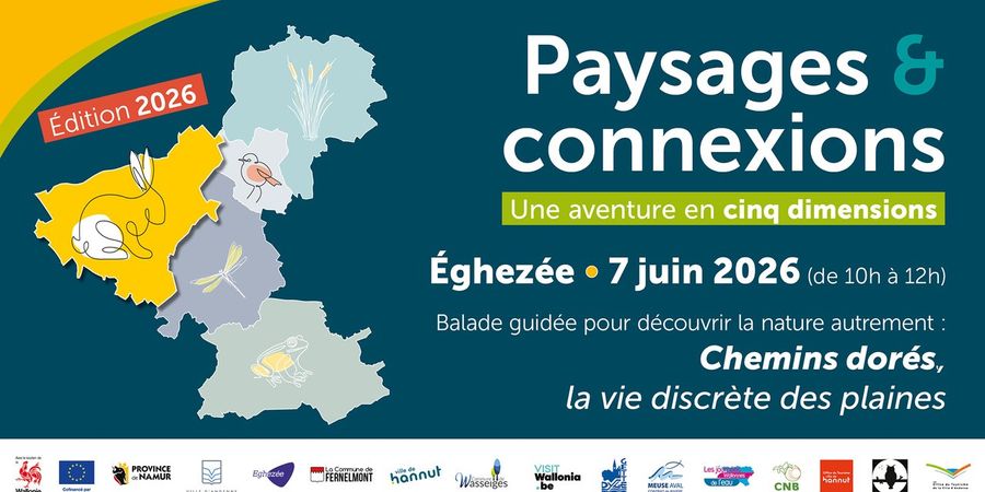 image - Chemins dorés, la vie discrète des plaines 