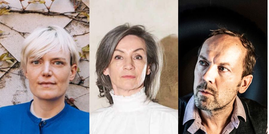 image - de zes van antwerpen in brussel: oscar van den boogaard, sonja noël en karen van godtsenhoven