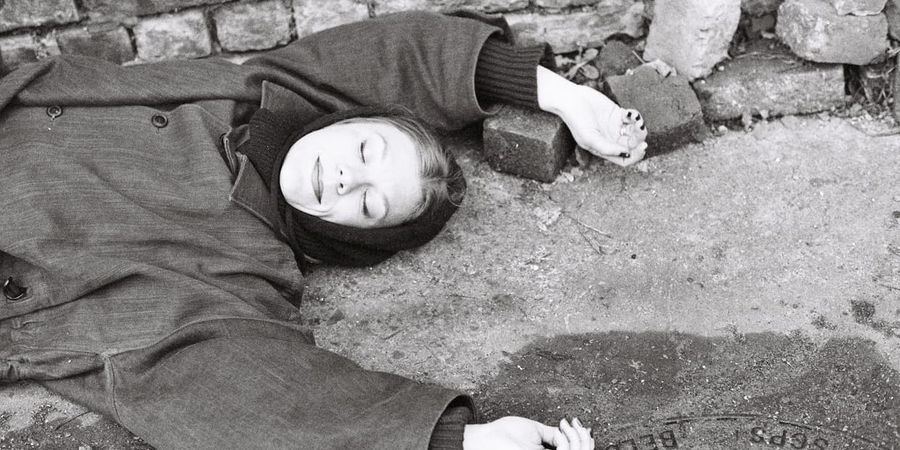 image - Trixie Whitley