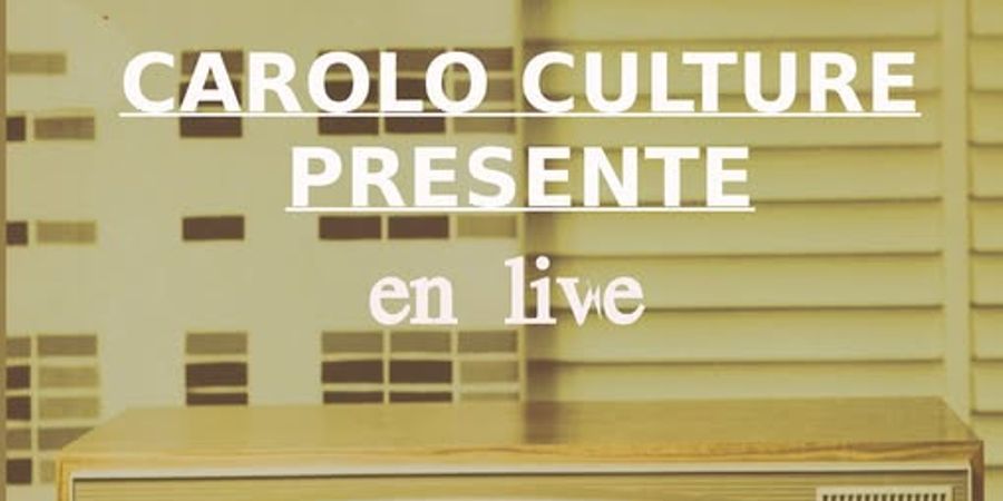 image - Concert de Mister H.