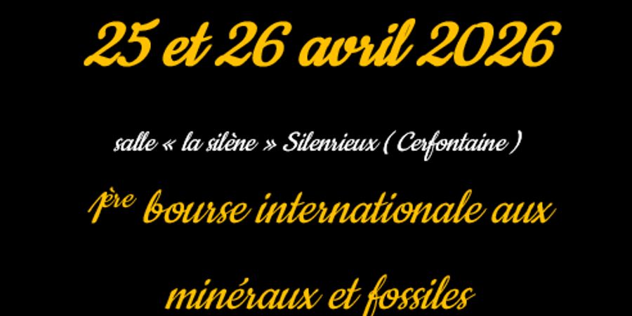 image - bourse international aux minéraux et fossiles silenrieux 