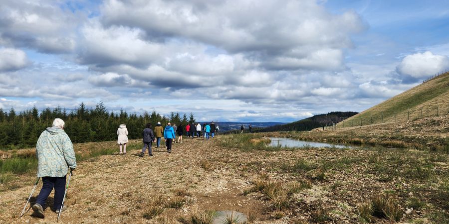 image - Aménagements biodiversité aux bassins supérieurs de Coo