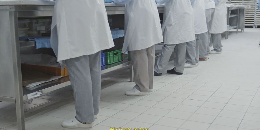 image - Doruntina Kastrati - A Horn That Swallows Songs