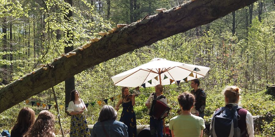 image - Zoniënklanken