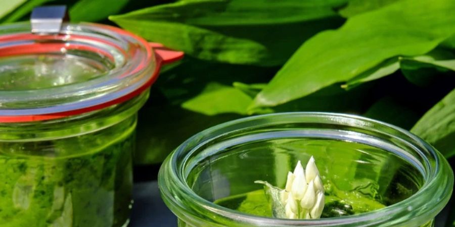 image - Atelier-repas : cuisinez 3 pestos durables et pas chers !