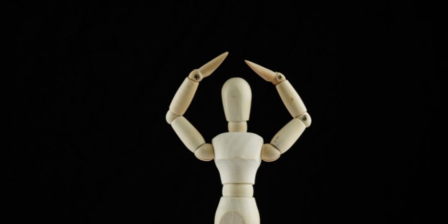 image - Intégrité ou intégrisme du corps humain