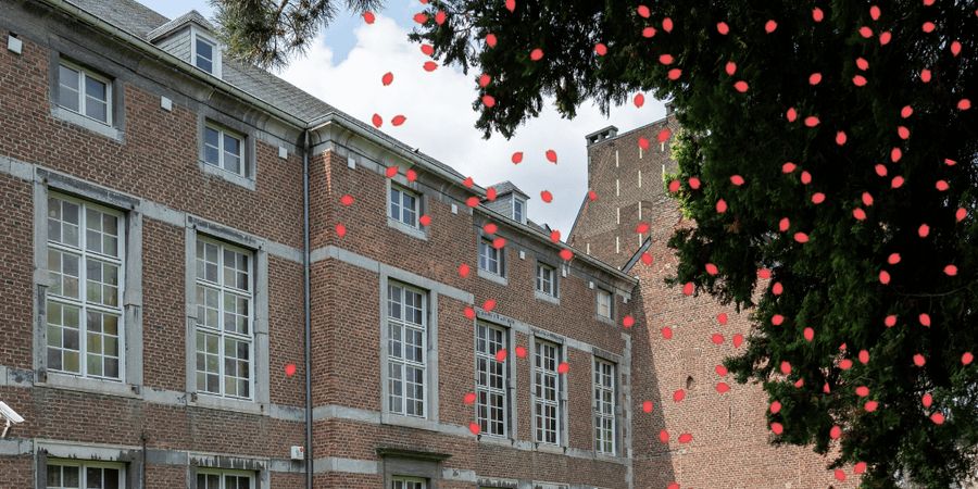 image - Expédition Nature au musée