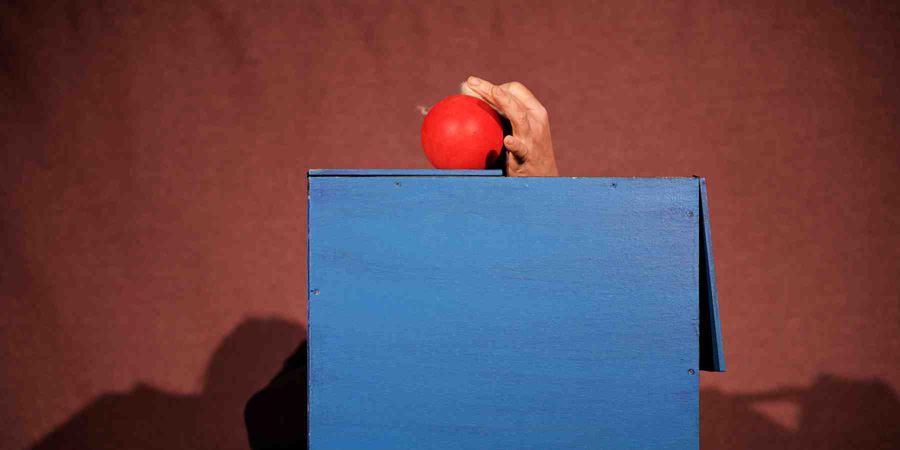 image - Dans la boite