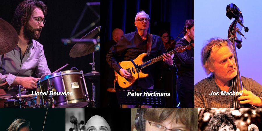 image - Peter Hertmans String Septet : Elegy for the World