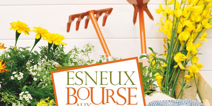image - Bourse aux plantes 