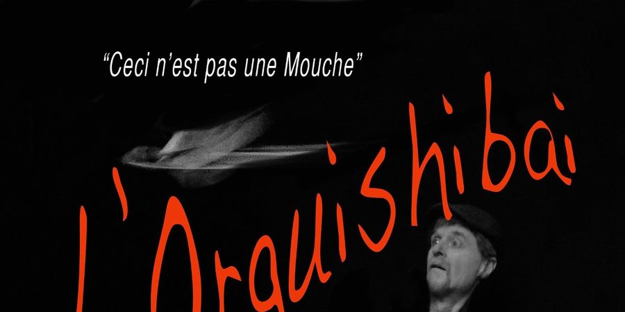 image - Ceci n'est pas une mouche!