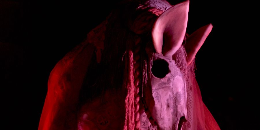 image - Nous sommes moi