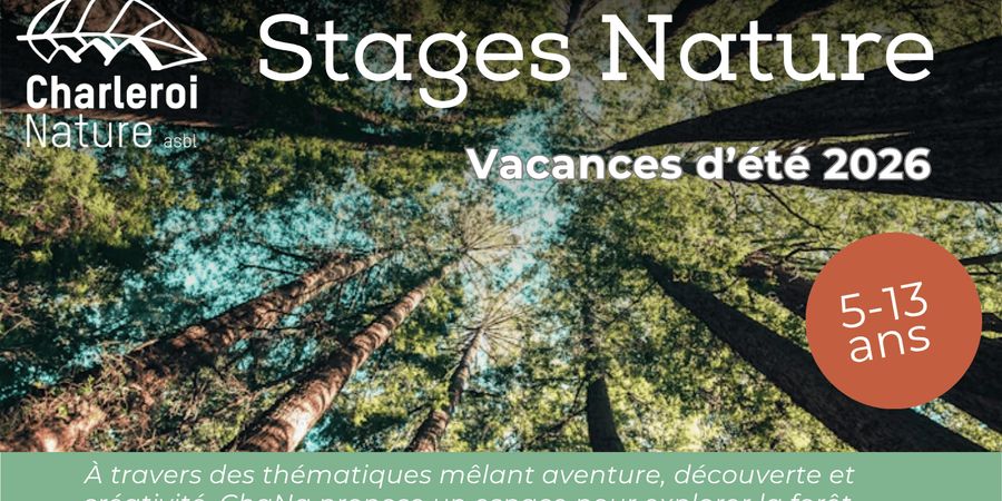 image - Les architectes de la forêt