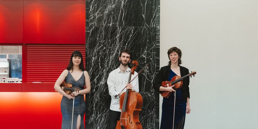 image - Ensemble Satellite