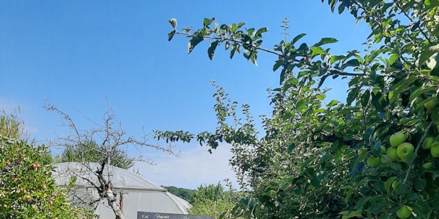 image - Initiation et découverte des soins verts : module 