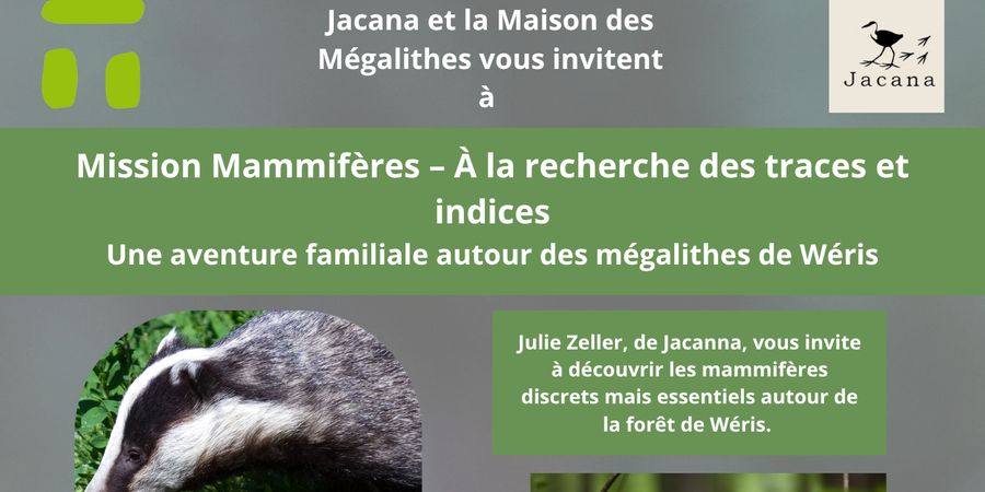image - Mission Mammifères – À la recherche des traces et indices. 