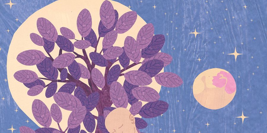 image - Arcanes de nos parentalités queer