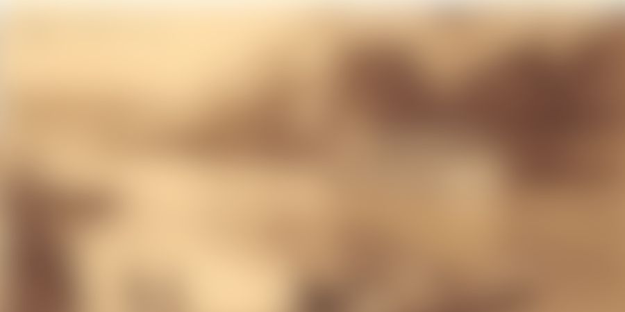 image - Journée mystère