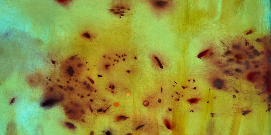 image - Benoit Platéus - Percolators