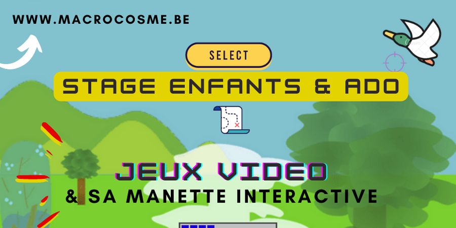 image - Crée tes jeux vidéo et sa manette interactive: programmation, électronique et impression 3D 