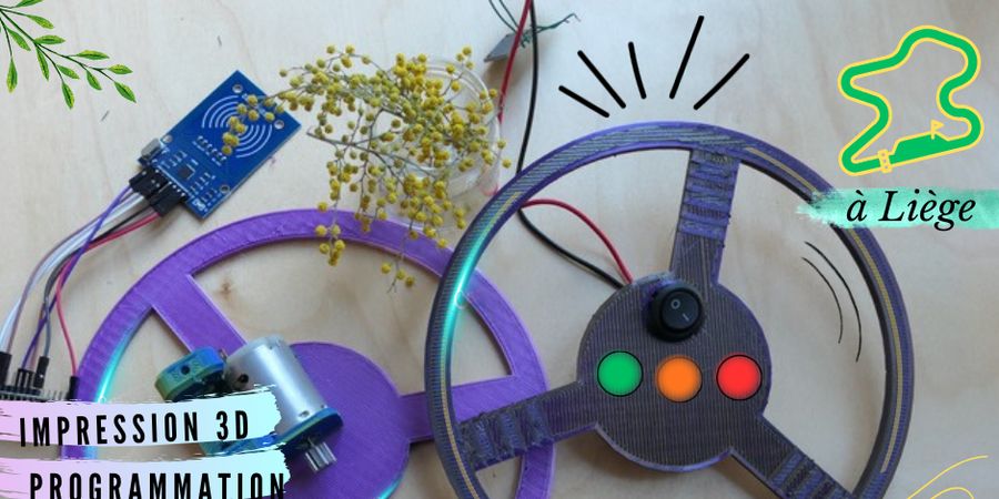 image - Crée tes circuits de course Macro'Kart et son volant interactif (3D, coding, électronique)