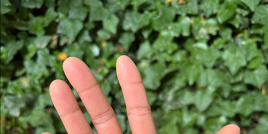 image - Creative afternoon: what's home to you?