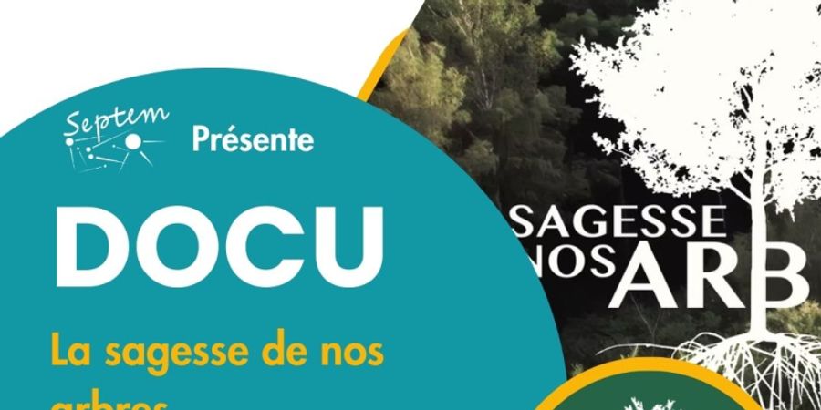 image - Documentaire | La sagesse de nos arbres de Thierry Dory