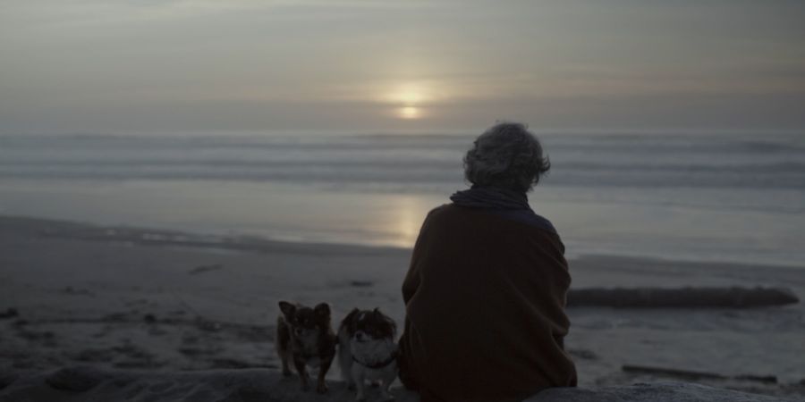 image - Bienvenue dans le monde des femmes