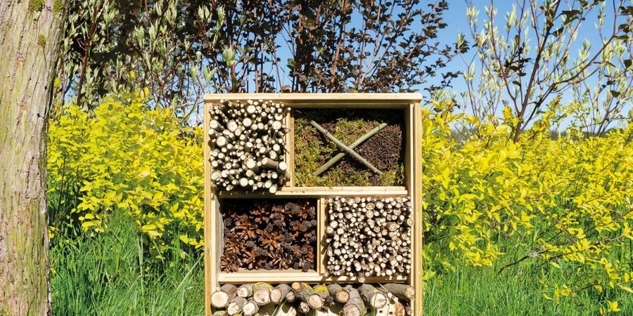 image - Aventure nature : biodiversité en action ! (10-16 ans)