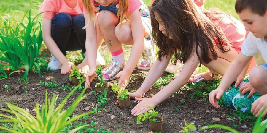 image - Les petits jardiniers : mission potager (5-7 ans)