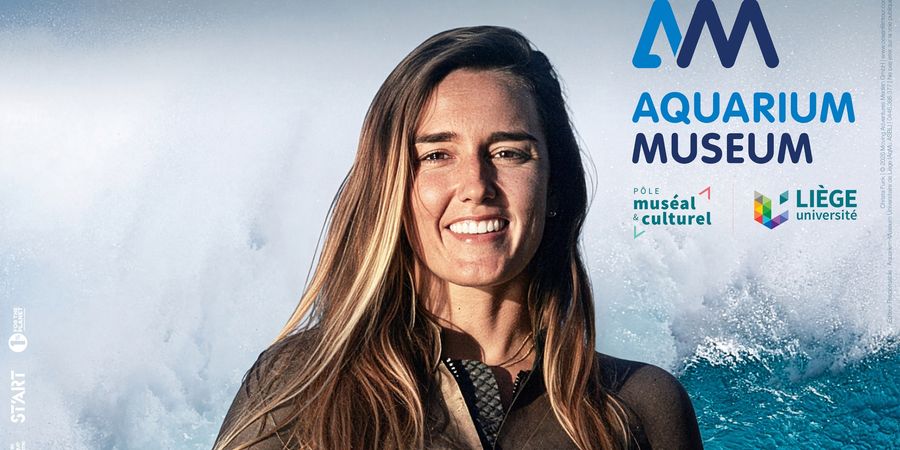 image - International Ocean Film Tour, Volume 12