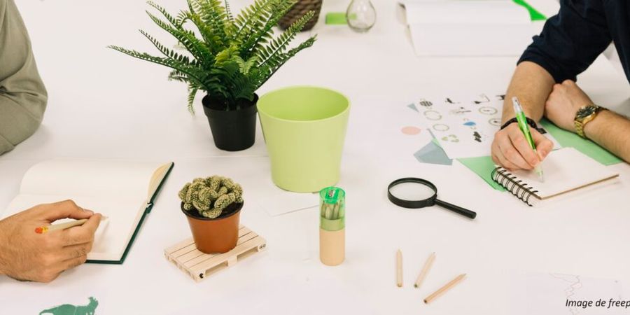 image - Mise au vert avec prévention au burn-out pour entreprises