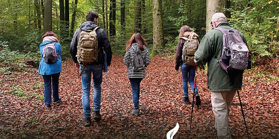 image - La Marche du Temps Profond (Deep Time Walk™)