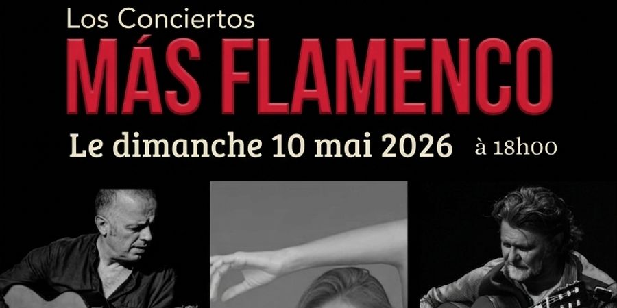 image - Los Conciertos 