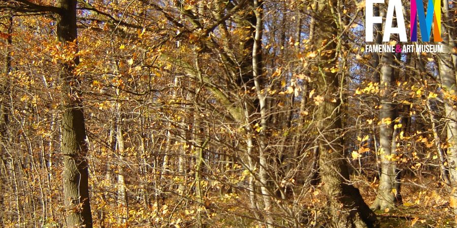 image - L'évolution des bois et des forêts de la Fagne-Famenne-Calestienne