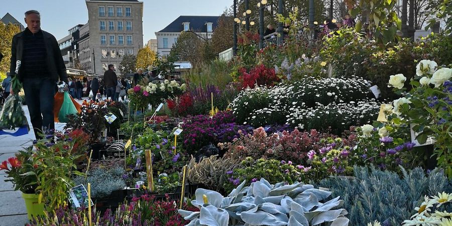 image - Bloemenmarkt Kouter