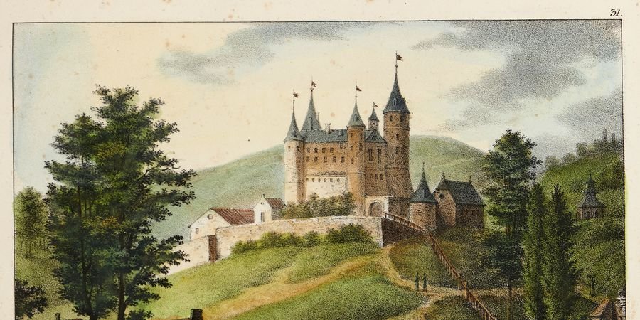 image - Excursion - le château de Vêves (Celles)