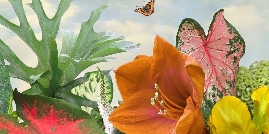 image - Ruud van Empel. A Perfect World
