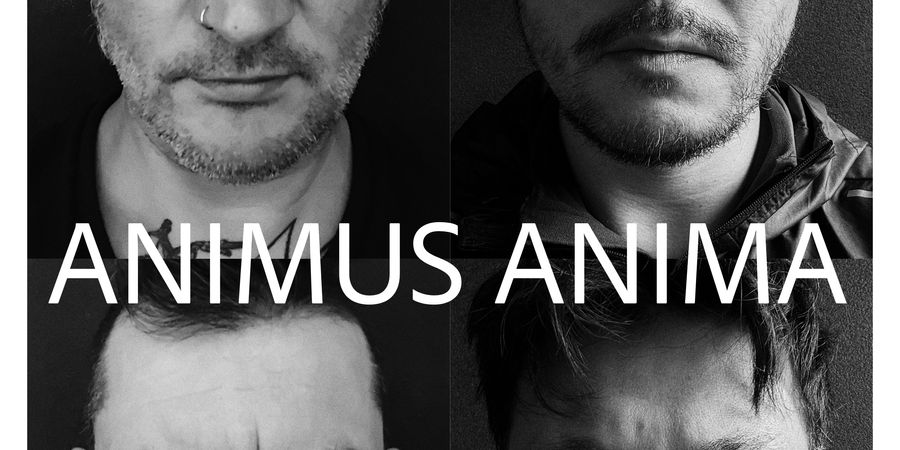 image - Animus Anima