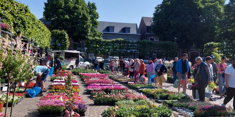 image - Festival Fleurs & Jardins