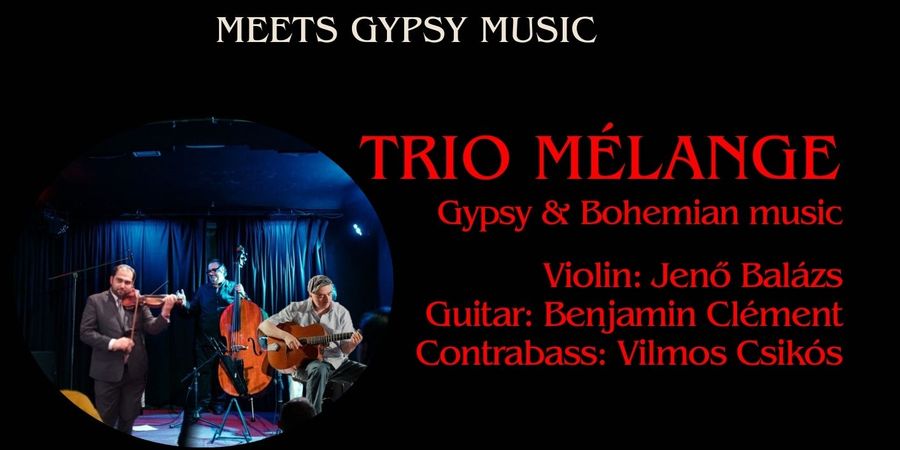 image - VALENTIJNSDAGAVOND ZIGEUNER- EN BOHEMIENMUZIEK MET TRIO MÉLANGE