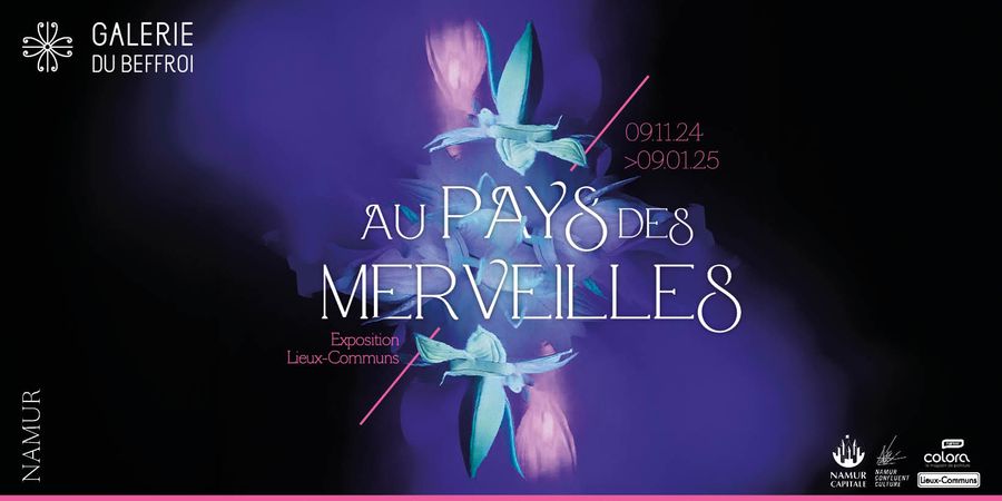 image - Au pays des Merveilles