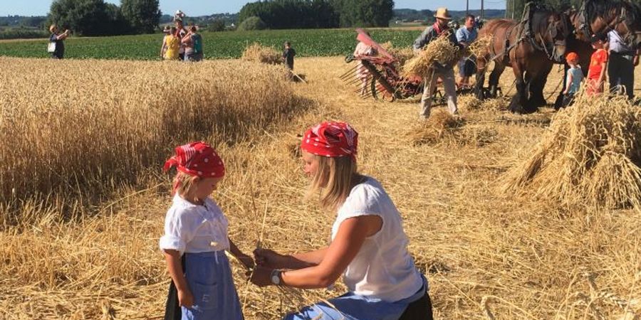 image - Fête de la Moisson fête ses 50 ans !