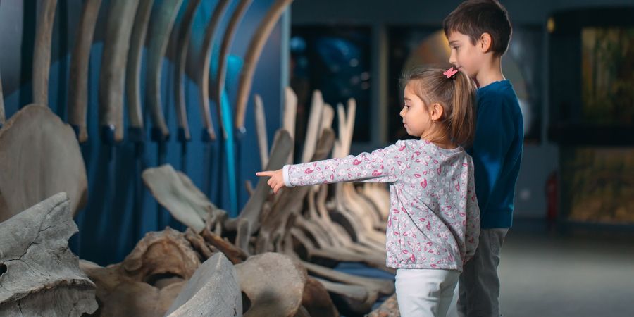 De tofste tentoonstellingen voor kinderen