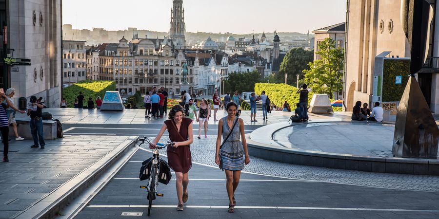 Op 11 juli de Vlaamse Feestdag vieren? 