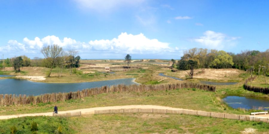 image - Bezoek het Zwin Natuur Park